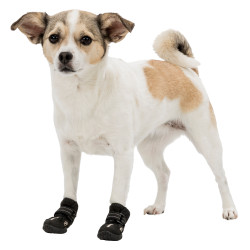 animallparadise Walker Botas protectoras activas, Tamanho: XS-S, para cães. Bota e meia