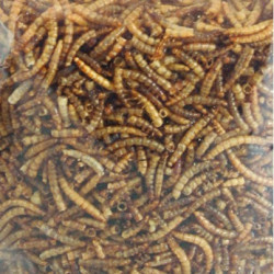 animallparadise PickNick gedroogde meelwormen . 100 gr. zak voor vogels. insectenvoedsel