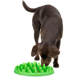 animallparadise Cuenco antigolpes. 29 cm para perros Recipiente para la comida y alfombrilla antiglotona
