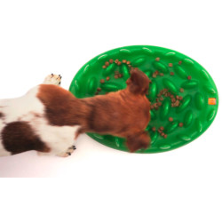 animallparadise Futternapf mit Tablett. 29 cm für Hunde Futternapf und Anti-Fleck-Matte