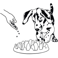animallparadise Anti-gobbling bowl. 29 cm for dog Food bowl and anti-gobbling mat