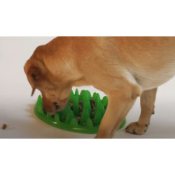 animallparadise Tigela anti-gota. 40 cm para cães Tigela alimentar e tapete anti-aglutton