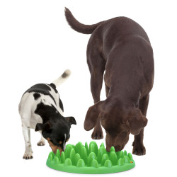 animallparadise Cuenco antigolpes. 40 cm para perros Recipiente para la comida y alfombrilla antiglotona
