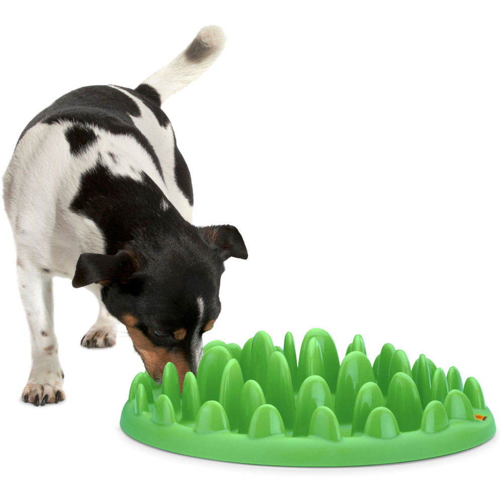 animallparadise Tigela anti-gota. 40 cm para cães Tigela alimentar e tapete anti-aglutton