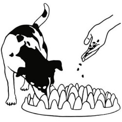 animallparadise Futternapf mit Tablett, 40 cm, für Hunde Futternapf und Anti-Fleck-Matte