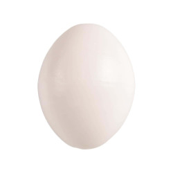 animallparadise 5 ovos artificiais de plástico para aves Acessório