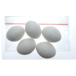 animallparadise 5 uova artificiali di plastica per uccelli Accessorio