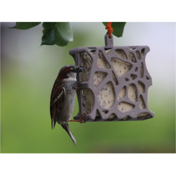 animallparadise Anna alimentador de aves reciclado 13 x 15 cm, suporte de blocos de lubrificação suporte de bola ou almofada ...