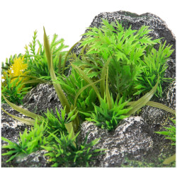 Décoration et autre Décoration angle, roche + plante, 23 x 22 x 8,5 cm, aquarium.