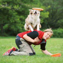 animallparadise Frisbee, disco de actividad "Dog Disc" ø 23 cm. para perros. Sables para perros
