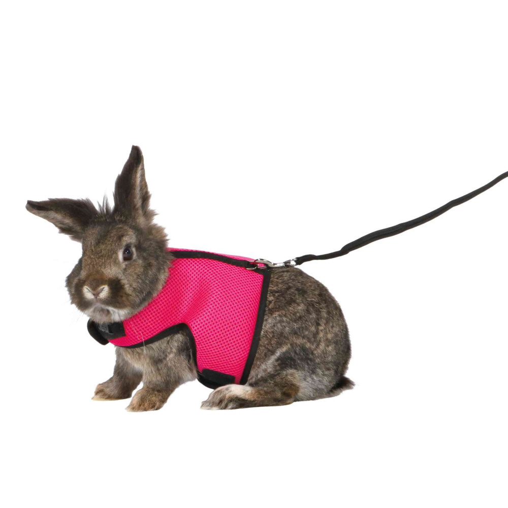 Trixie Harnais doux avec laisse 1.2 m pour grand lapins - couleur aléatoire. Colliers, laisses, harnais