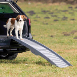 animallparadise Rampa plegable, plegable en 4 partes, de plástico/TPR. Tamaño 39 × 150 cm para perros Rampa de coche para perros