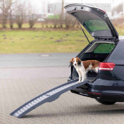 Rampe voiture pour chien Rampe pliable, pliable en 4 parties, en plastique/TPR. Taille 39 × 150 cm pour chien