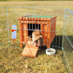 animallparadise Habitat para pequenos animais, coelhos e porquinhos-da-índia. 42 x 43 x 51 cm Hutch