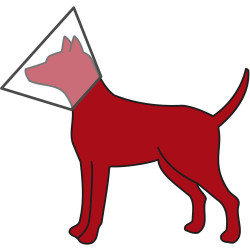 animallparadise obroża ochronna dla psa, L 44-50 cm/ 25 cm Collerettes pour chiens