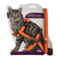 animallparadise Imbracatura + guinzaglio 120 cm, arancione a pois, regolabile, per gatto. Imbracatura