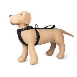 Sécurité chien Harnais et Ceinture de sécurité voiture, Taille XL, pour chien.