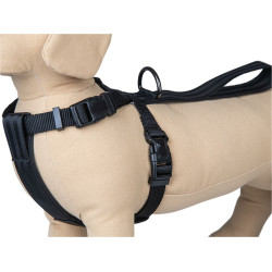 animallparadise Imbracatura per auto e cintura di sicurezza, taglia XL, per cani. Sicurezza dei cani