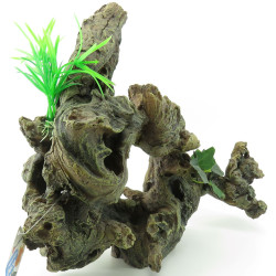 animallparadise Wurzel und Pflanze. Größe: 30 x 12 x 27 cm. Aquariendekoration. Dekoration und anderes