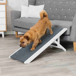 animallparadise Wooden ramp for cats and dogs, 36 x 90 cm. Ramps and stairs