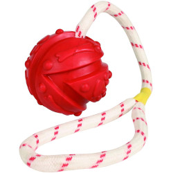 animallparadise Juego de agua Bola en una cuerda, Tamaño: ø 7 x 35 cm, color aleatorio, para su perro. Juegos de cuerdas para...