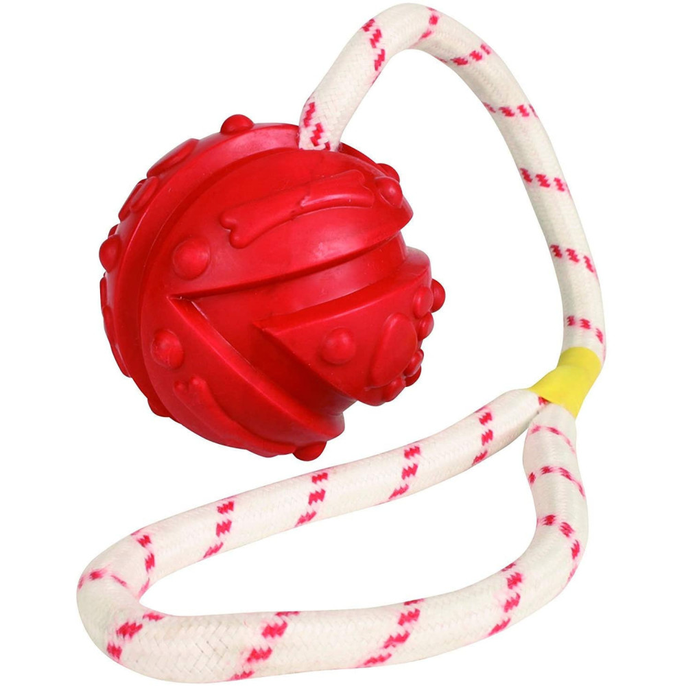 Jeux cordes pour chien Jeu aquatique Balle sur corde, Dimensions: ø 7 x 35 cm, couleur aléatoire, pour votre chien.
