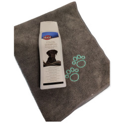 animallparadise Champô especial de pêlo escuro e toalha em microfibra, 250 ML para cães Champô