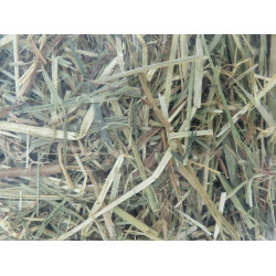 animallparadise Alpine hay, mint and chamomile, 1 kg, for rodents. Rodent hay
