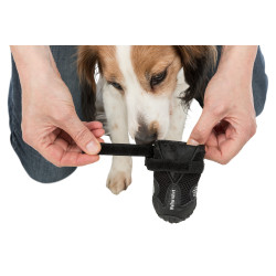 Sécurité chien Bottes de protection Walker Active taille: L-XL pour chien
