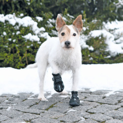 Sécurité chien Bottes de protection Walker Active, taille: S-M pour chien