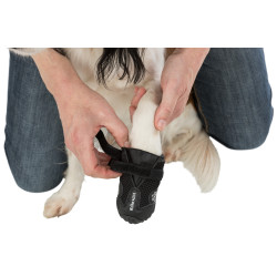Sécurité chien Bottes de protection Walker Active, taille: L pour chien