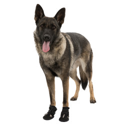 animallparadise Walker Active Schutzstiefel, Größe: L für Hunde. Sicherheit Hund
