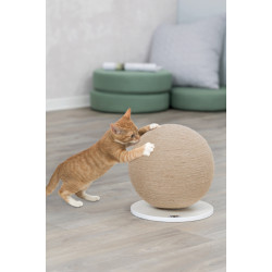 animallparadise Drapak dla kota w kształcie kuli, o okrągłym kształcie, montowany na kuwecie. Griffoirs et grattoir