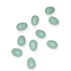 Accessoire 10 œufs artificiel en plastique pour canari