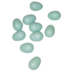 animallparadise 10 uova di canarino artificiali in plastica Accessorio