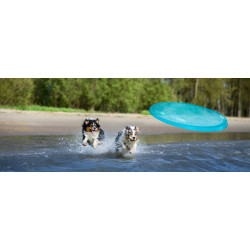 animallparadise Juguete para perros Flying disc pop ø 23 cm, color turquesa. Sables para perros