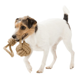animallparadise Speeltouw met gevlochten bal voor honden ø 8/35cm. Touwensets voor honden