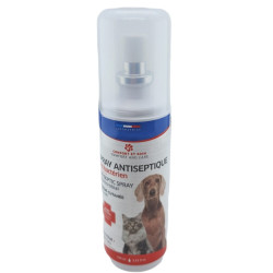 animallparadise Spray antisettico 100 ml, per cani e gatti Igiene e salute del cane
