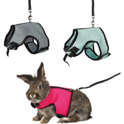 Colliers, laisses, harnais Harnais doux avec laisse 1,2 m pour lapins nains couleur aléatoire