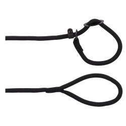 animallparadise Aiden anti-pull leash, black ø12 mm L130 cm, for dog Laisse enrouleur chien
