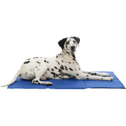 animallparadise 110 x 70 cm Kühlende Matratze für Hunde Erfrischende Matte