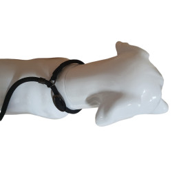animallparadise Aiden anti-pull leash, black ø12 mm L170 cm, for dog Laisse enrouleur chien