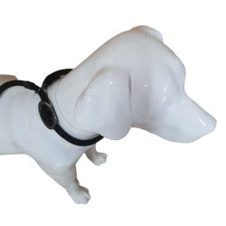 animallparadise Aiden Anti-Zug-Leine, schwarz ø12 mm L130 cm, für Hunde Laisse enrouleur chien