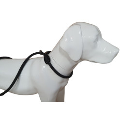 animallparadise Aiden anti-trek riem, zwart ø12 mm L130 cm, voor honden Laisse enrouleur chien