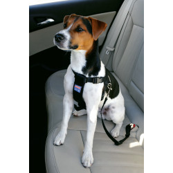 animallparadise Safety harness size M for dog in car Car fitting