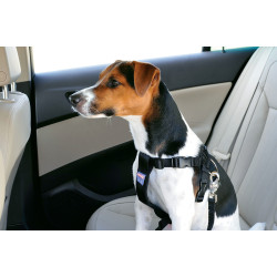 animallparadise Safety harness size M for dog in car Car fitting