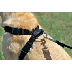 animallparadise Safety harness size XL for dog in car Car fitting
