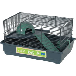 Cage Cage 40 souris, 39 x 26 x hauteur 22 cm, verte pour souris