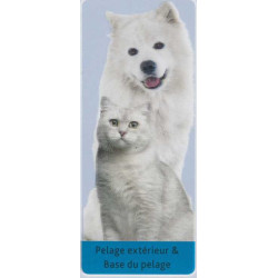 animallparadise Doppelbürste 5 x 19 cm für Hund und Katze. Bürste