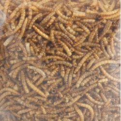 animallparadise PickNick minhocas de refeição secas 540g balde para aves alimentos para insectos